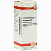 Abrotanum D3 Dilution 20 ml - ab 8,69 €