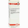 Absinthium D6 Dilution 20 ml - ab 5,98 €