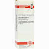 Absinthium D6 Dilution 20 ml - ab 11,40 €