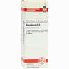 Absinthium D6 Dilution 20 ml - ab 8,23 €