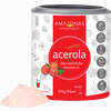 Acerola 100% Natürliches Vitamin C Pulver 100 g