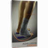 Achillodyn 07071 Platinum Gr 3 Bandage 1 Stück - ab 40,34 €