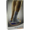 Achillodyn Knoe 4 07071 Ha Bandage 1 Stück - ab 48,65 €