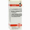 Acidum Lactic D30 Globuli 10 g - ab 7,34 €