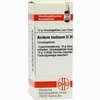 Acidum Lactic D30 Globuli 10 g - ab 8,21 €