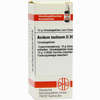 Acidum Lactic D30 Globuli 10 g - ab 7,49 €