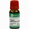 Acidum Sulfur Lm 12 10 ml - ab 13,30 €