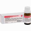 Abbildung von Aconitum D6 Globuli Dr.RECKEWEG & Co. GmbH 10 g