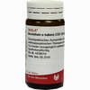Aconitum E Tubere D30 Globuli 20 g - ab 7,18 €