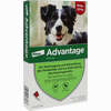 Advantage 250mg Lösung für Hunde  4 Stück