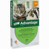 Advantage 40mg für Kleine Katzen und Kleine Zierkaninchen Lösung 4 x 0.4 ml