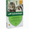 Advantage 40mg für Kleine Katzen und Kleine Zierkaninchen Lösung 4 x 0.4 ml - ab 20,01 €