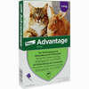 Advantage 80mg für Große Katzen und Große Zierkaninchen Lösung 4 x 0.8 ml - ab 18,75 €