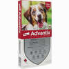 Advantix Spot- On für Hunde 10- 25kg 4 Stück - ab 26,50 €