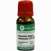 Aesculus Arca Lm 18 10 ml - ab 12,09 €