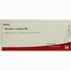 Aesculus E Semine D6 Ampullen 10 x 1 ml - ab 19,27 €