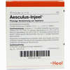 Aesculus- Injeel Ampullen 10 Stück - ab 17,66 €