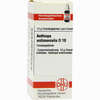 Aethiops Antimon D10 Globuli 10 g - ab 7,02 €