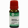 Agaricus Arca Lm 18 10 ml - ab 12,79 €