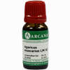 Agaricus Arca Lm 6 10 ml - ab 9,64 €