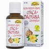 Alchemistische Essenz Maca- Damiana Compostium  30 ml - ab 12,72 €