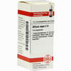 Allium Cepa C6 Globuli 10 g - ab 7,55 €