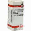 Allium Sativum C30 Globuli 10 g - ab 7,49 €