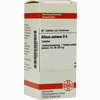 Allium Sativum D6 Tabletten 80 Stück - ab 8,69 €