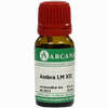 Ambra Arca Lm 12 10 ml - ab 10,28 €