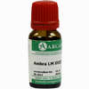 Ambra Arca Lm 18 10 ml - ab 11,69 €