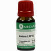 Ambra Arca Lm 6 10 ml - ab 7,86 €