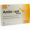 Ambroxol Inhalat Inhalationslösung 20 x 2 ml - ab 6,55 €