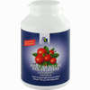 Amerikanische Preiselbeere 400mg Kapseln  240 Stück - ab 26,03 €