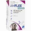 Amflee Combo 402/361. 8mg Lösung Zum Auftropfen für Hunde 3 Stück - ab 14,25 €