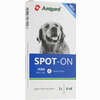 Amigard Spot- On Hund über 15kg Dreierpackung Tropfen 3 x 4 ml - ab 16,99 €
