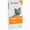 Amigard Spot- On Hund Unter 15kg Tropfen 3 x 2 ml - ab 12,99 €