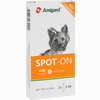 Amigard Spot- On Hund Unter 15kg Tropfen 3 x 2 ml - ab 12,59 €
