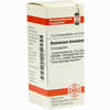 Ammonium Bromatum D12 Globuli 10 g - ab 7,55 €