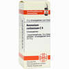Ammonium Carb C6 Globuli 10 g - ab 7,55 €
