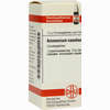 Ammonium Caust D12 Globuli 10 g - ab 7,55 €