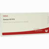 Amnion Gl D10 Ampullen 10 x 1 ml - ab 19,41 €