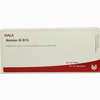 Amnion Gl D15 Ampullen 10 x 1 ml - ab 19,41 €