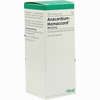 Anacardium Homaccord Tropfen 30 ml - ab 0,00 €