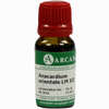 Anacardium Orientale Lm 12 10 ml - ab 11,13 €