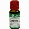 Anacardium Orientale Lm 12 10 ml - ab 13,30 €