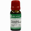 Anacardium Orientale Lm 18 10 ml - ab 10,12 €