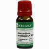 Anacardium Orientale Lm 18 10 ml - ab 12,79 €