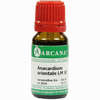 Anacardium Orientale Lm 6 10 ml - ab 12,47 €