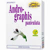 Andrographis Paniculata Kapseln 60 Stück - ab 13,05 €