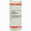 Angelica Archangelica Urtinktur D 1 Dilution 20 ml - ab 10,80 €